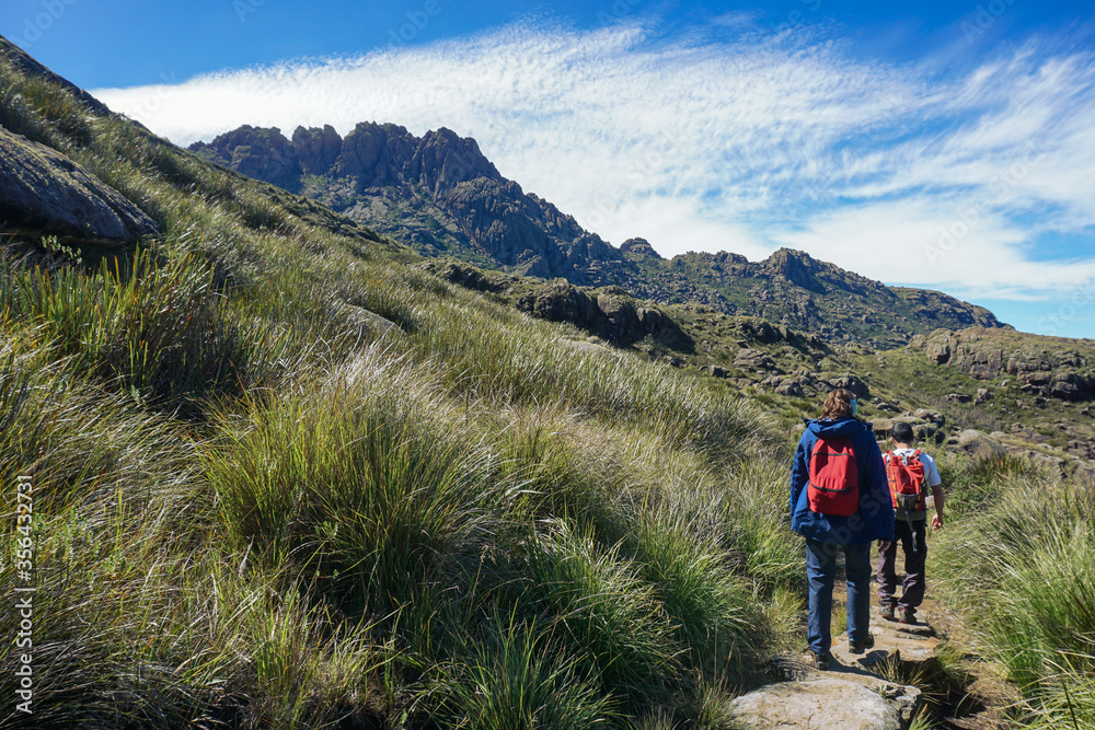 Hikers towards Agulhas Negras Peak, in Itatiaia State Park