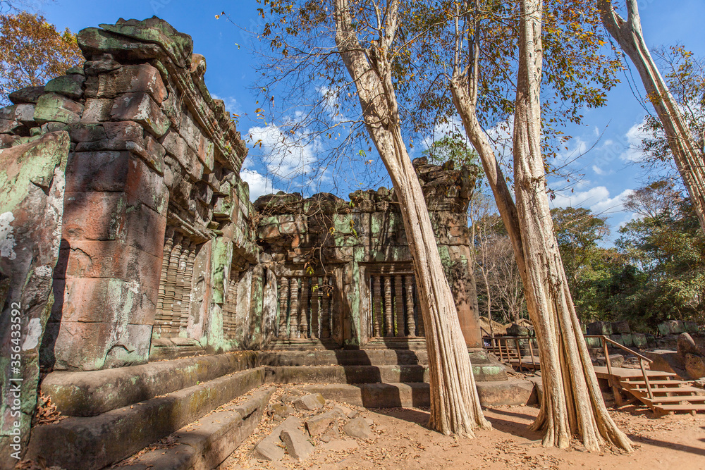 Obraz premium Beng Mealea temple ruins and banyan tree, the Angkor Wat style located east of the main group of temples at Angkor, Siem Reap, Cambodia.