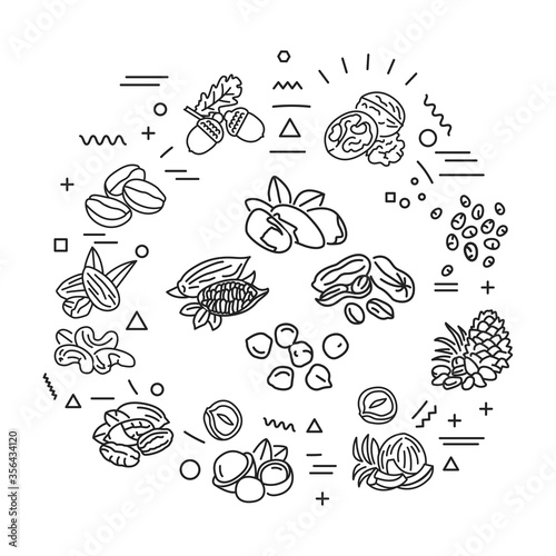 Nuts and seeds web banner. Infographics with linear icons on white background. Creative idea concept. Isolated outline black illustration