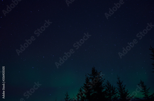 aurora borealis northern light on winter night sky over trees
