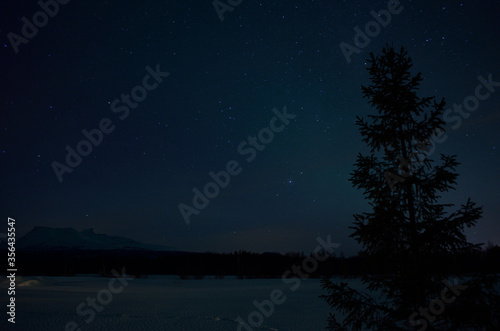 aurora borealis northern light on winter night sky over trees