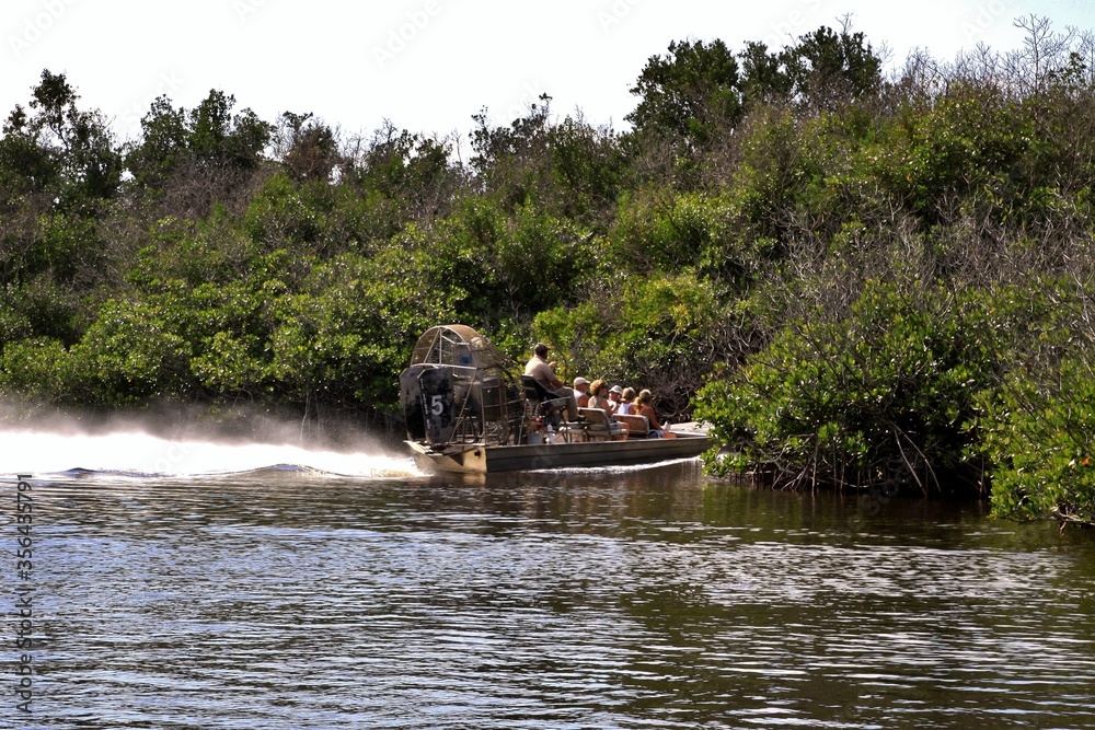 Fast moving airboat races through the mangrove swamp, Everglades Fast moving airboat races through the mangrove swamp, Everglades