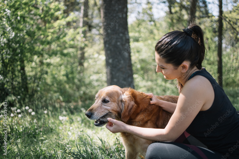 Side view of girl pulling wood bark from dog's mouth. Dog with wood crust in his mouth standing on meadow next to girl with forest background. Side view of girl pulling wood bark from dog's mouth. Dog with wood crust in his mouth standing on meadow next to girl with forest background.