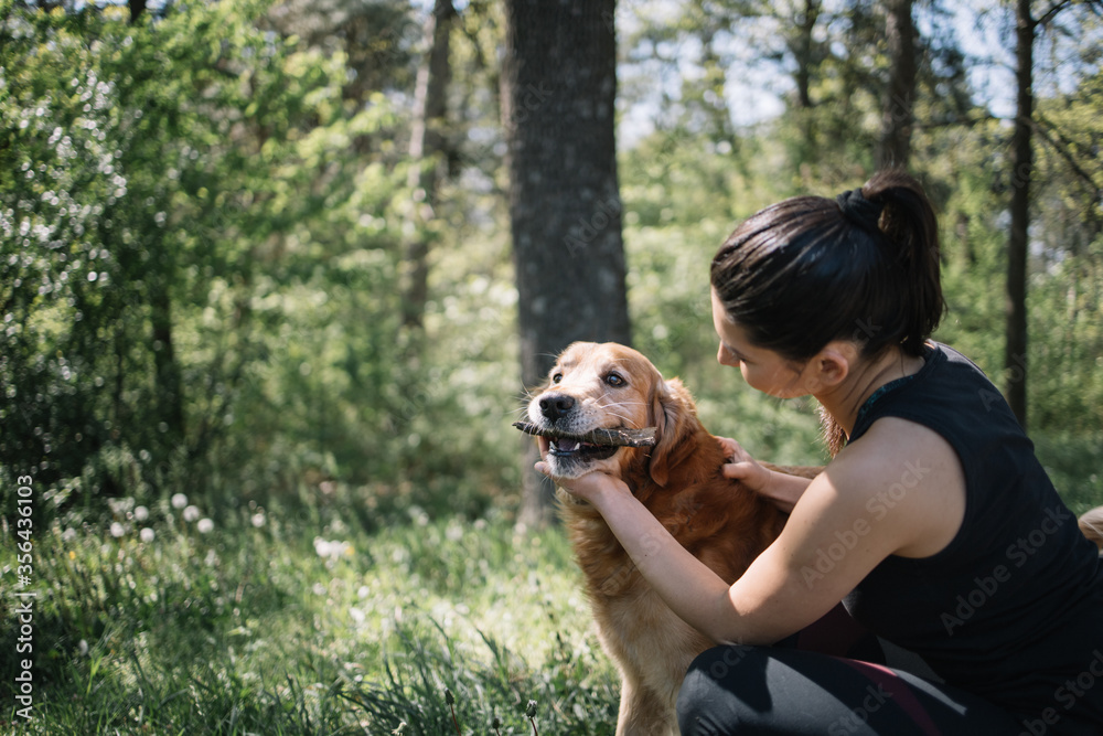 Cute dog eating wood crust while standing in nature. Side view of girl squatting in forest and playing with her dog who is having wood bark in the mouth. Cute dog eating wood crust while standing in nature. Side view of girl squatting in forest and playing with her dog who is having wood bark in the mouth.