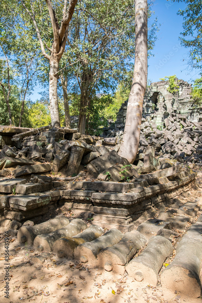 Beng Mealea temple ruins and banyan tree, the Angkor Wat style located east of the main group of temples at Angkor, Siem Reap, Cambodia.