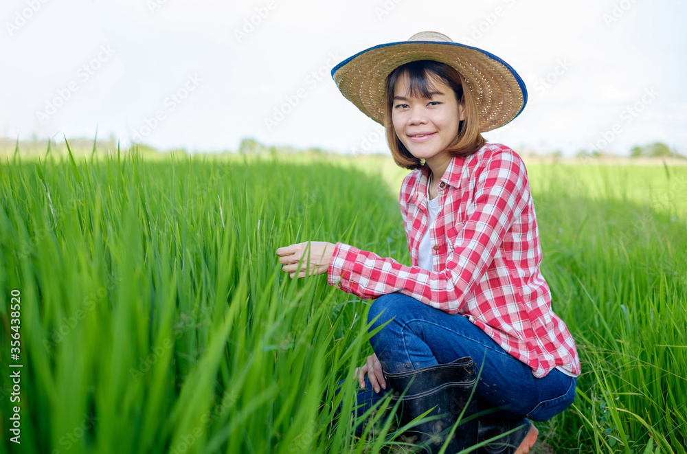 Asian farmer woman wear red shirt and hat sitting at green rice farm.