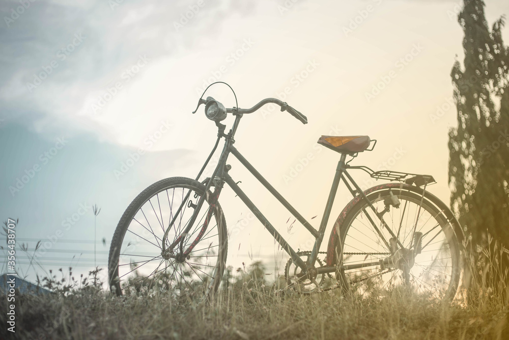 Fototapeta premium Landscape picture Vintage Bicycle with Summer grass field at sunset