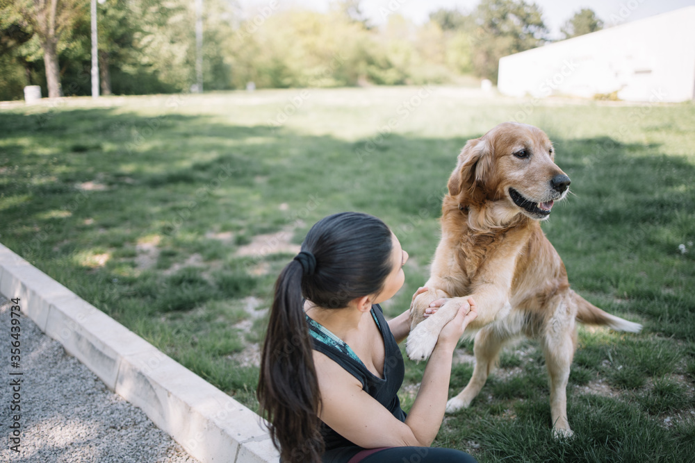 High angle view of girl holding dog's paws. Brunette woman sitting on ground in park and holding retriever dog's paws. High angle view of girl holding dog's paws. Brunette woman sitting on ground in park and holding retriever dog's paws.
