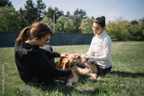 Young women resting on grass and a dog. Women in sportswear sitting on field in park while looking at retriever dog during spring day.