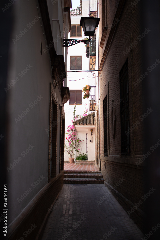 Narrow street with flowers in mediterranean city