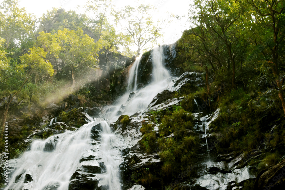 Fototapeta premium waterfall in the woods