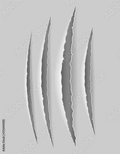 scratch claw cuts paper with transparent shadows for design vector illustration