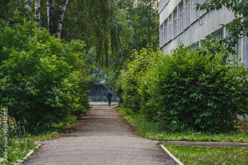 Alley next to the school with large bushes during the summer holidays. A man walks along the path.