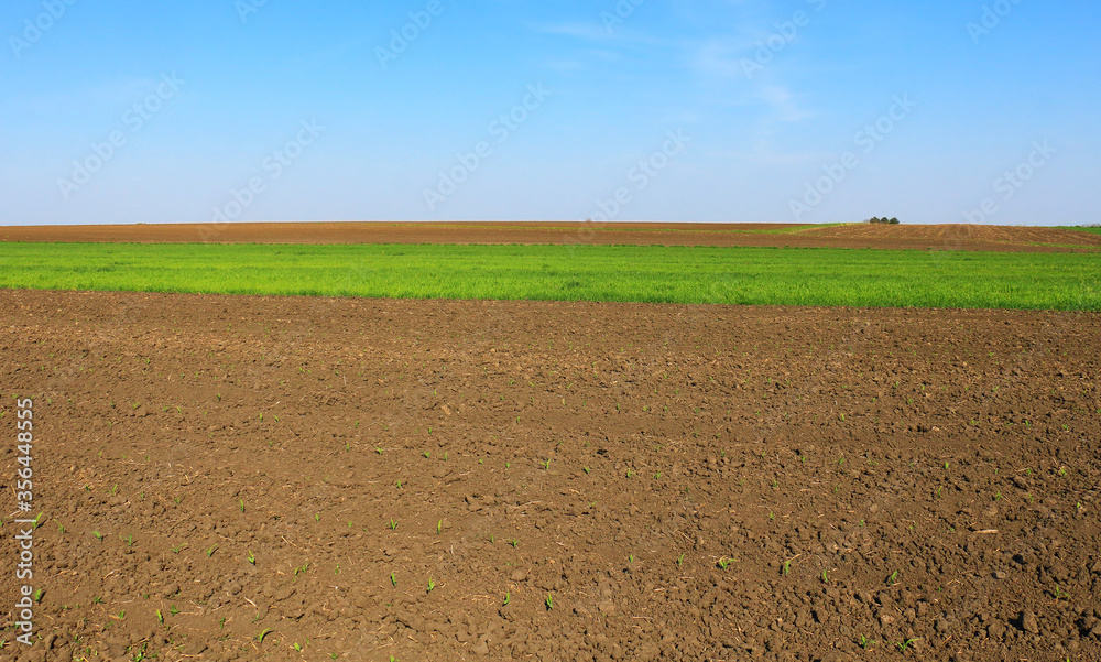 Plowed field in spring time with blue sky - obrazy, fototapety, plakaty 
