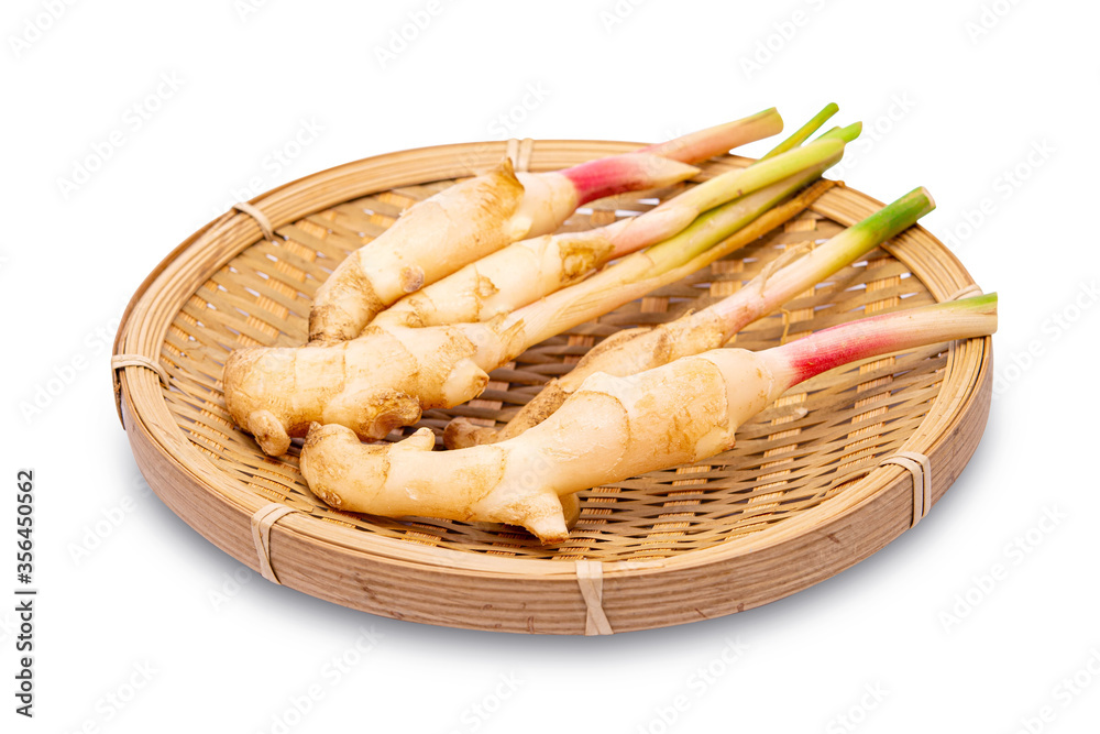 Fresh slices galangal rhizomes in wooden dish isolated on white background with clipping path