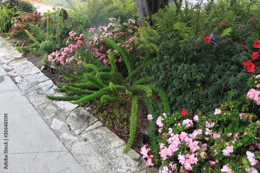 Obraz premium aiuola fiorita