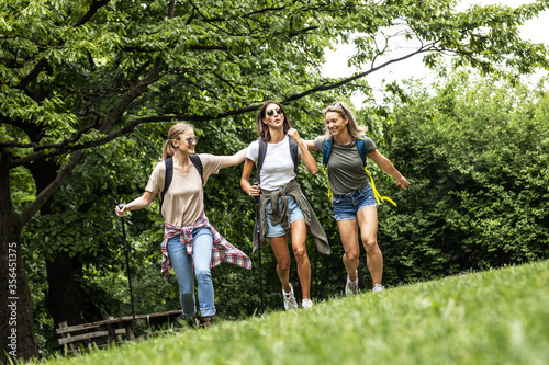 Wallpaper Mural Group of female friends hiking in nature.They walking trough forest and joying in fresh air.
 Torontodigital.ca
