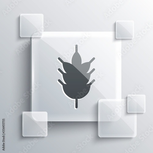 Grey Hop icon isolated on grey background. Square glass panels. Vector Illustration.