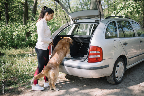 Dog getting in opened car trunk in nature. Sport girl getting dog in opened trunk while standing in forest.