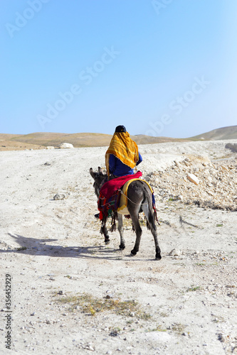 young arabian beduin boy man riding a donkey on a desert road