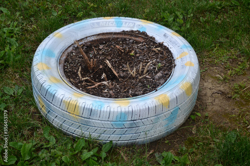A Colorful Blue Tire Wheel Sitting on the Grass with Plant Stems