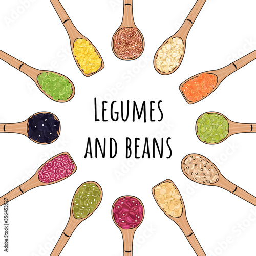 Set of spoons with beans and legumes