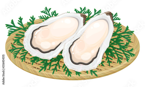竹ザルに盛り付けた牡蠣のイラスト_ヒバ_ヒノキアスナロ