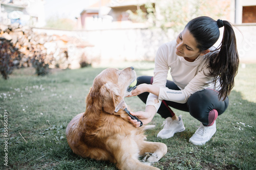 Photography Young woman combing brown dog in yard