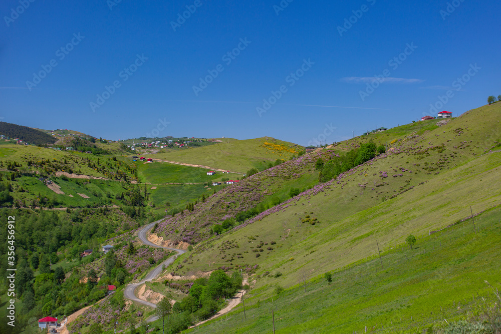 The magnificent nature of the Black Sea The magnificent nature of the Black Sea