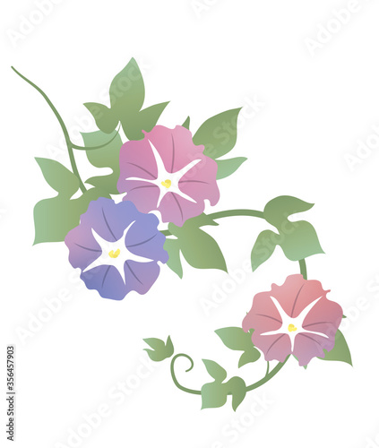 Japanese style vector morning glory flower