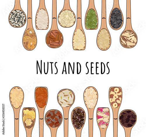 Set of spoons with nuts and seeds. Top view. Border food frame.