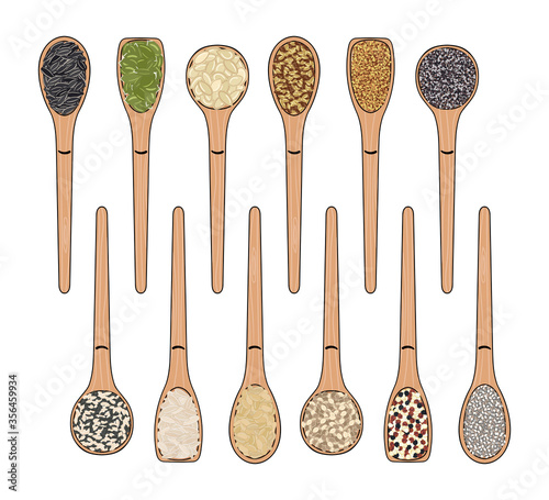 Set of seeds in spoon. Vegan and vegetarian poster