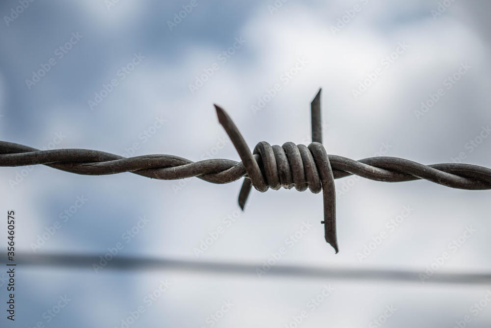 A close up of a the sharp edges on a barbed wire fence.  A macro image of barbed wire fence with a blurred out background of sky and clouds