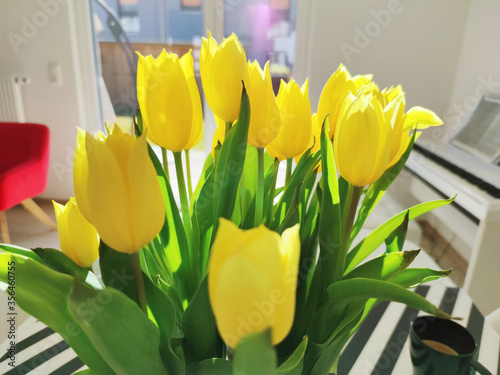 A bunch of yellow fresh tulips stabding in vase on dining table photo