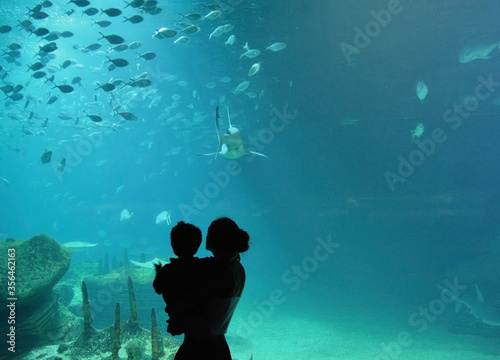 Mother and son looking through the glass at the fish