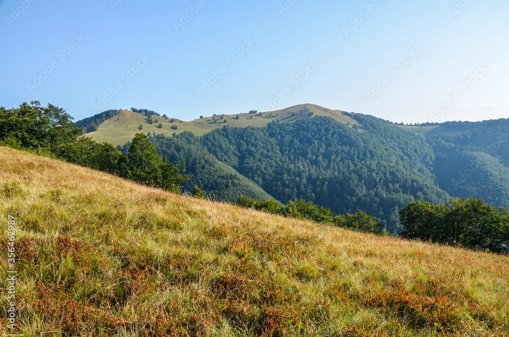 Summer landscape in mountains and the clear blue sky over the grassy hillside. Carpathian, Ukraine, Europe.