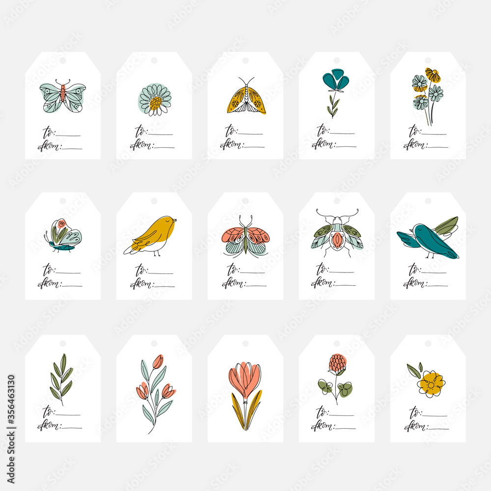 Fototapeta premium Spring tags and cards with flowers, insects,birds. Line art style