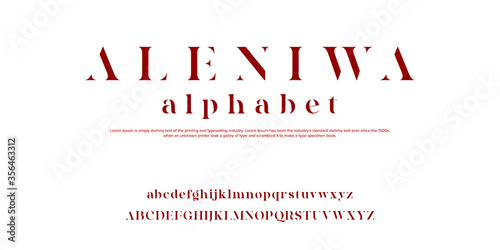 Elegant awesome alphabet letters font and number. Classic Lettering Minimal Fashion Designs. Typography fonts regular. vector illustration