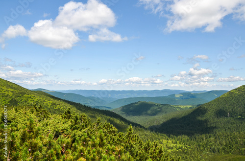 Summer landscape of green Carpathian mountains with dense vegetation, top of the green hills under blue cloudy sky.