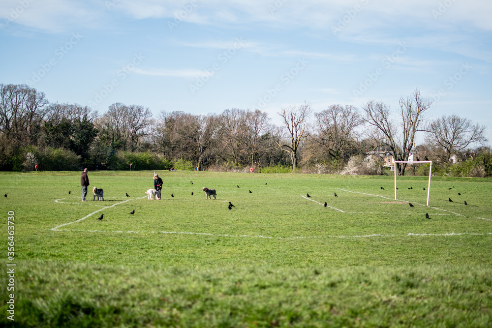 Obraz premium people in playing field