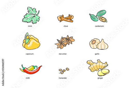 spices, condiments and herbs