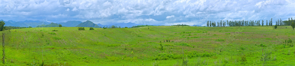 Green pasture on the flat hills under the blue sky and clouds.