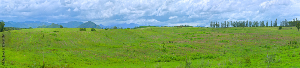 Green pasture on the flat hills under the blue sky and clouds. Green pasture on the flat hills under the blue sky and clouds.