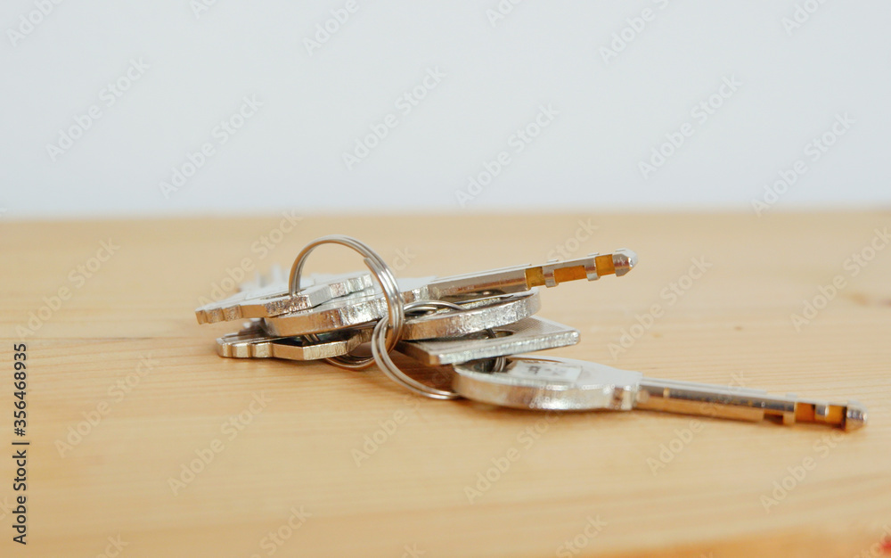 Bunch of keys on a shaped keychain at wooden table background. Concept for real estate or renting home with copy space,Close up.
Bunch of keys on a shaped keychain at wooden table background. Concept for real estate or renting home with copy space,Close up.