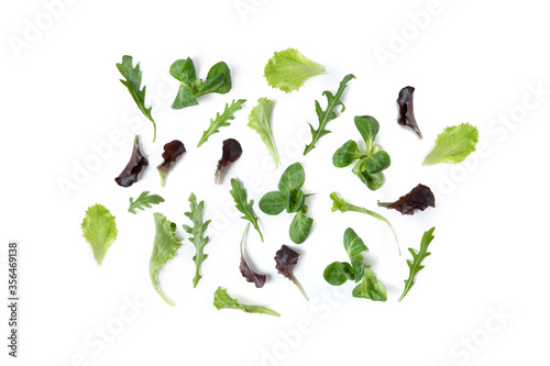 Tableau sur toile Leaves of Roman Salad Misticanza Mixed green salad