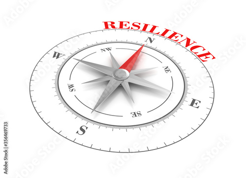 Rendering Illustraton of Compass with RESILIENCE Word