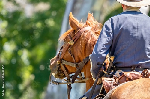 Horse and rider during an American Civil War reenactment 