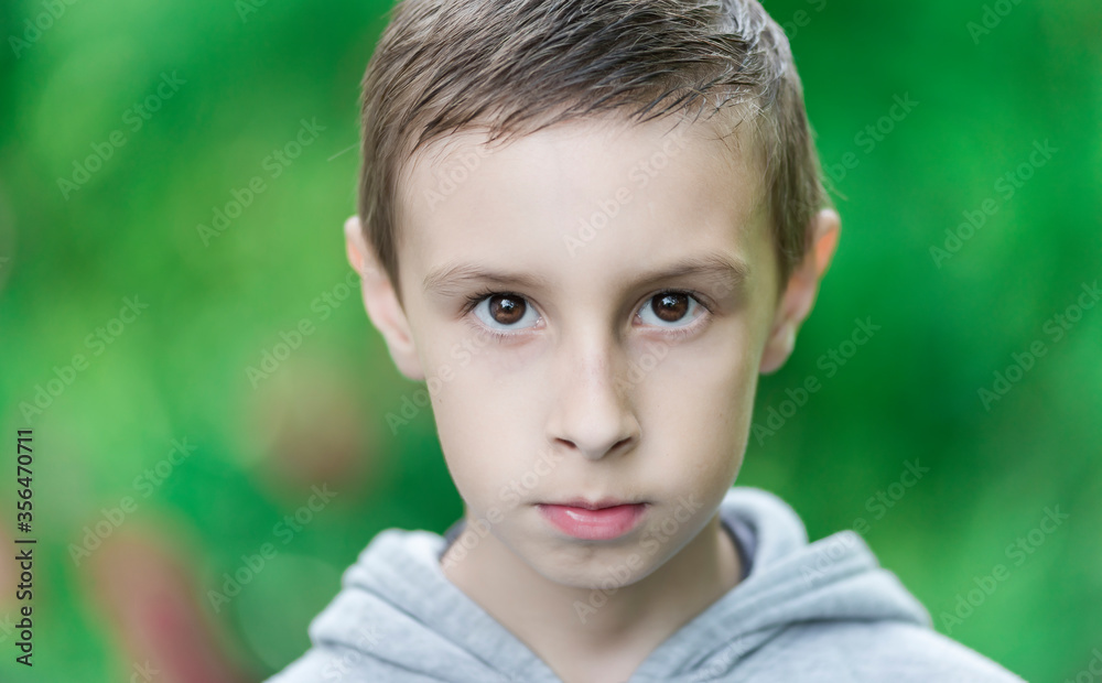 portrait of a young boy portrait of a young boy