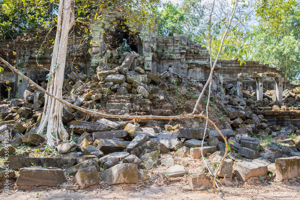 Obraz premium Beng Mealea temple ruins and banyan tree, the Angkor Wat style located east of the main group of temples at Angkor, Siem Reap, Cambodia.