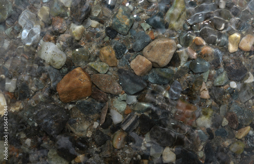 seashell and pebbles on the beach